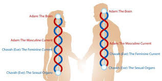 the art of celibacy: from sexually transmitting to sexually transmuting